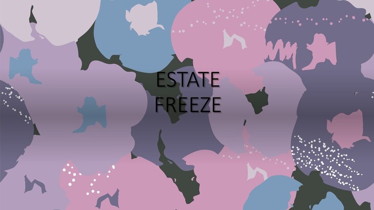 Estate Freeze