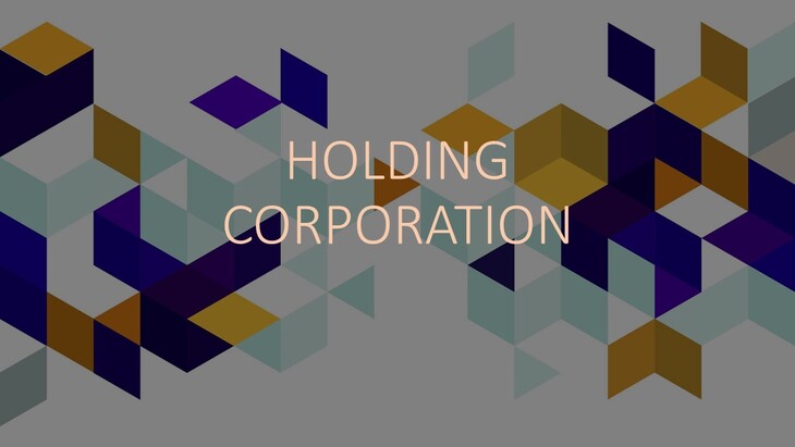 Use of a Holding Corporation